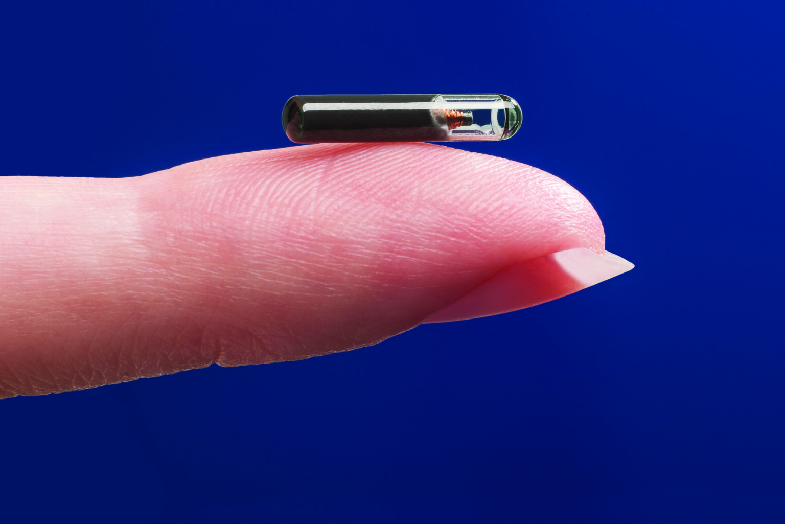 rfid-chip-2-eindtijdnieuws