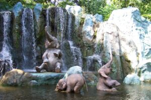 happy elephant babies under waterfall