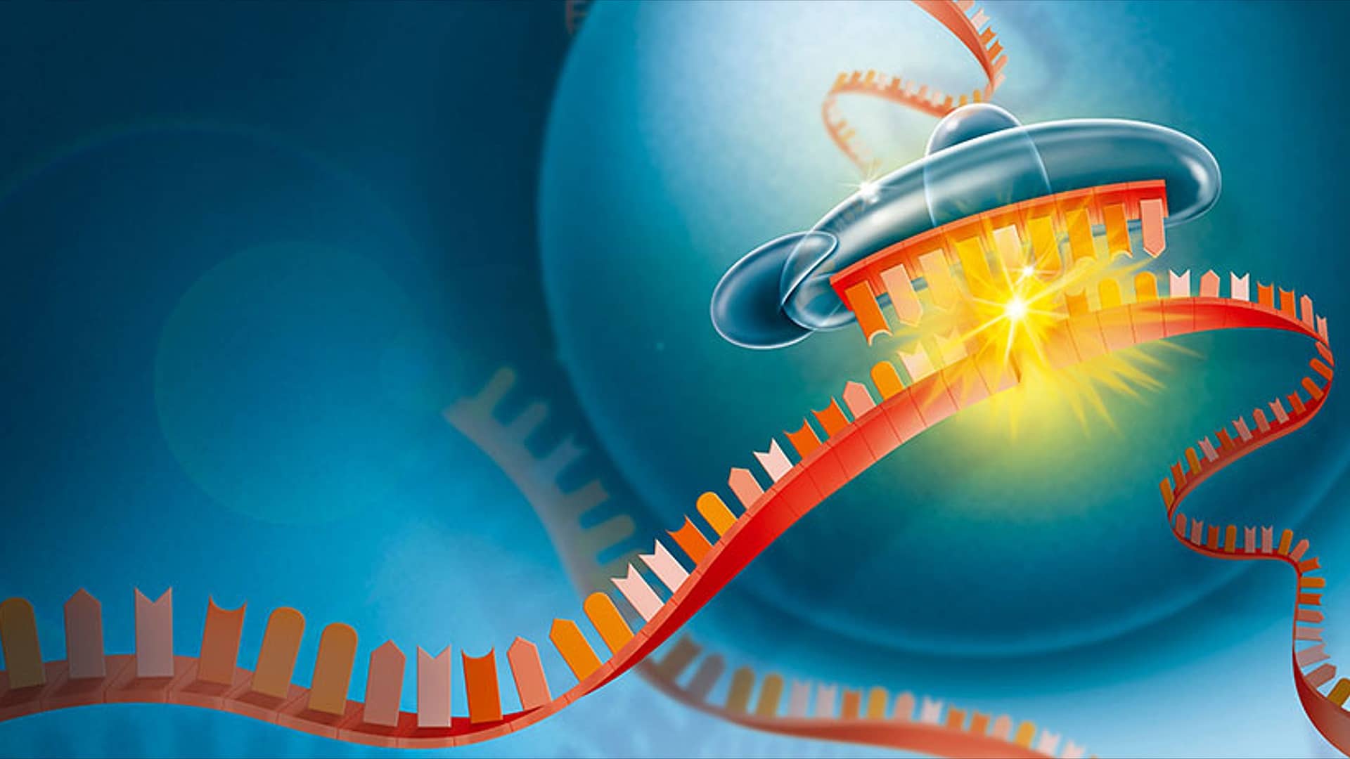 RNA interference