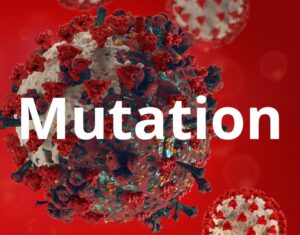 New mutation of Coronavirus COVID December 2020 in the UK