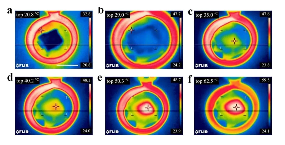 The alternating magnetic fields response diagram of composite hydrogels