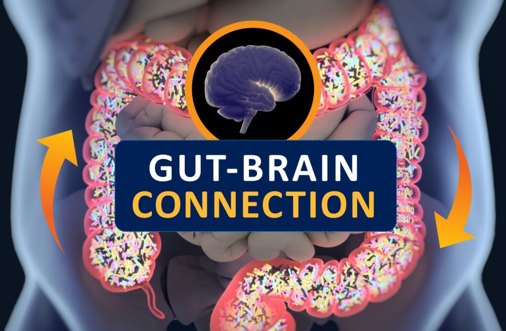 gut - brain connection