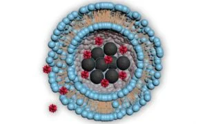 Magnetic Particles Deliver Drugs With Pinpoint Targeting