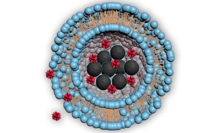 Magnetic Particles Deliver Drugs With Pinpoint Targeting