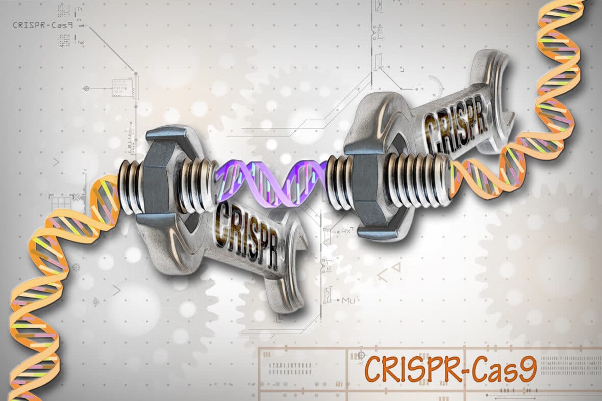 CrispR changing your DNA