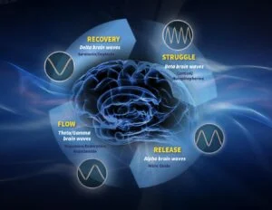 The flow cycle of brain waves