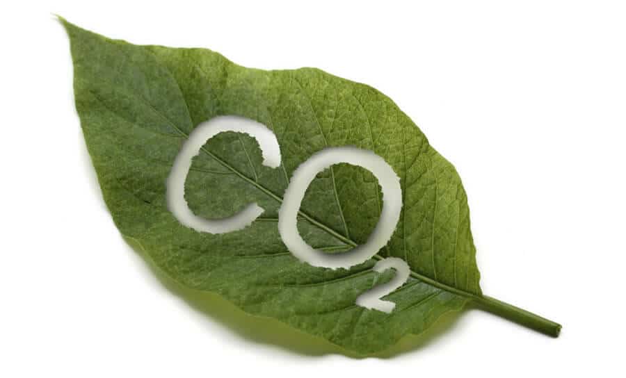 Carbon Dioxide - More CO2 is good for planet Earth