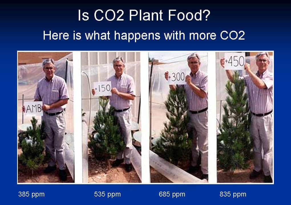 Here is what happens with more CO2 = plant food