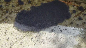Strange metallic-like black material that resembles graphene observed after rainfall