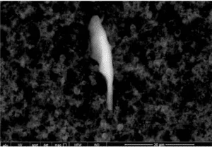 Trypanosoma Parasite in vaccines - composed of carbon, oxygen chromium, sulphur, aluminum, chloride and nitrogen