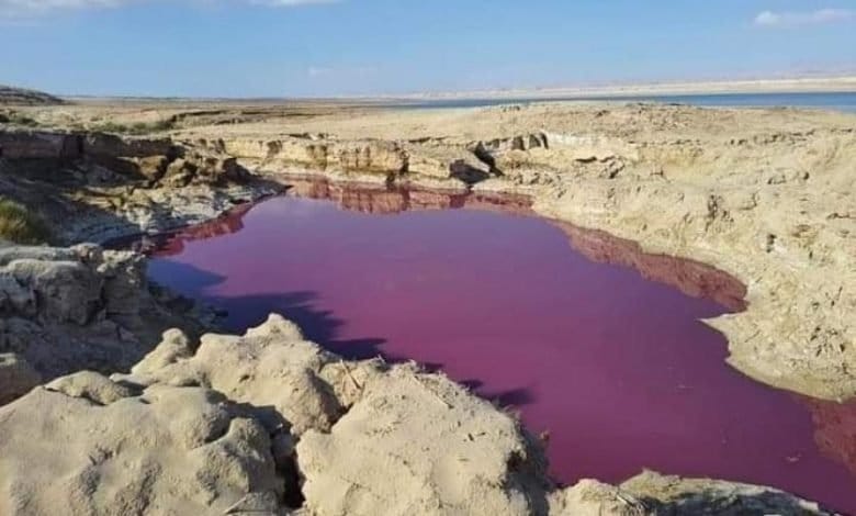 Water turns PINK-RED near the drying Dead Sea in Jordan