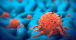 cancer cells - tumor cells - The forbidden cures