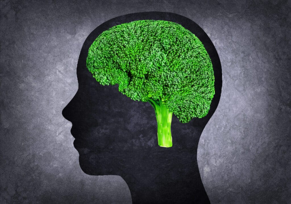 Broccoli Can Stimulate Brain Regeneration - Natural health