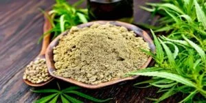 Benefits hemp protein powder and hemp seeds