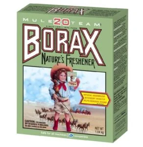 THE BORAX -CON-SPI-RA-CY-