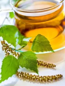 Birch leaf tea