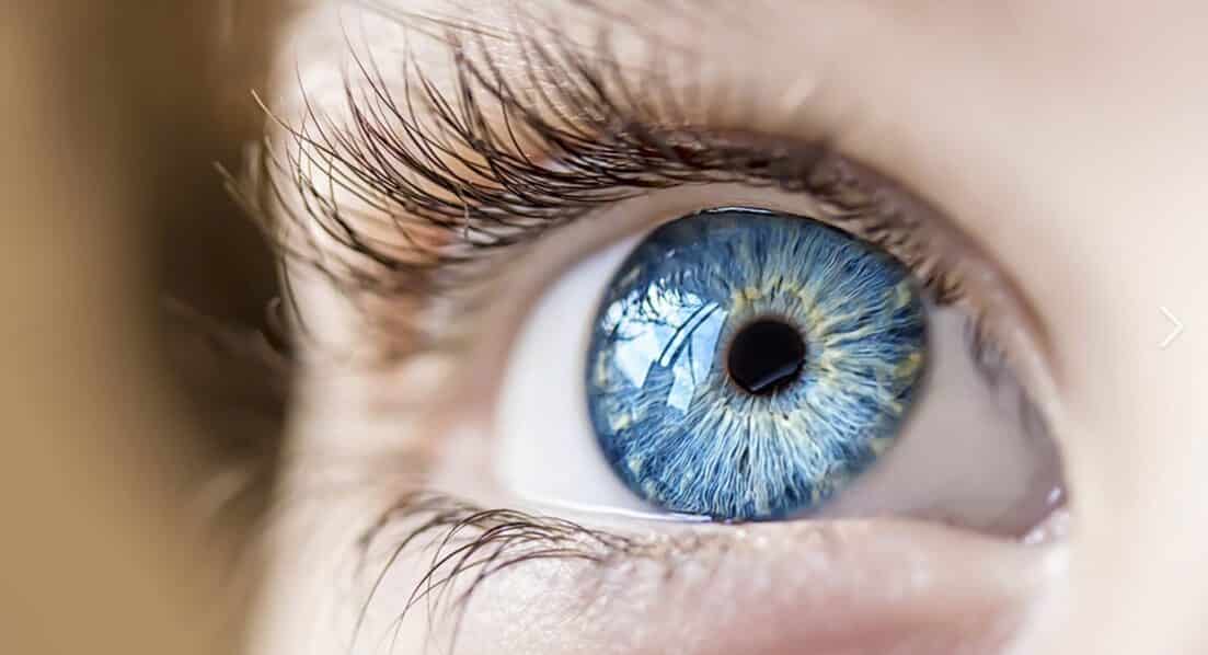 Vision about How The World Really Works