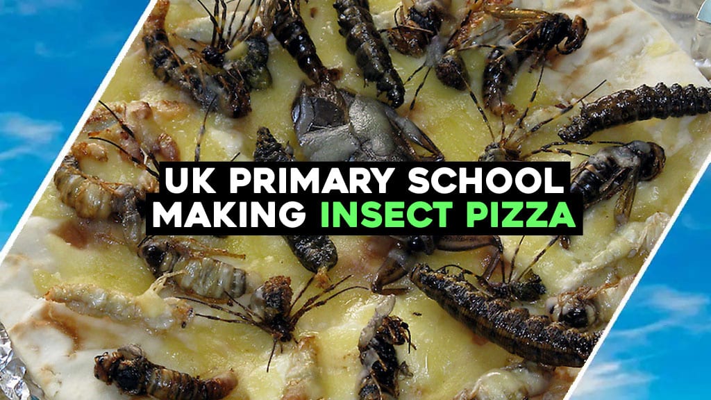 UK Primary School making Insect Pizza