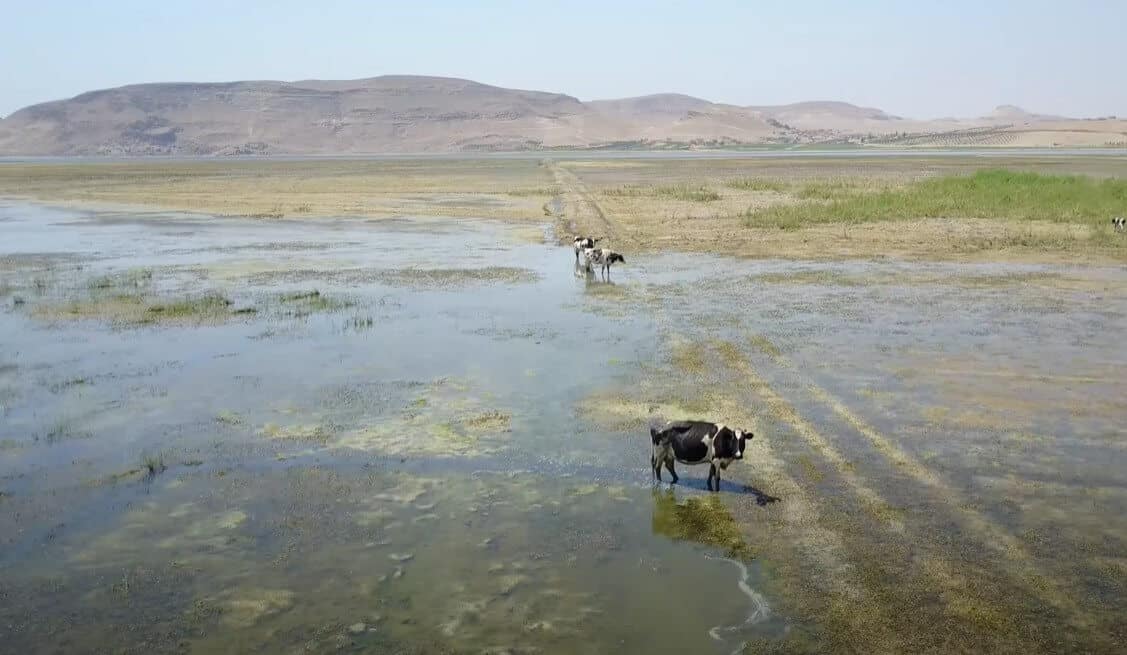 Euphrates river is drying up 2022