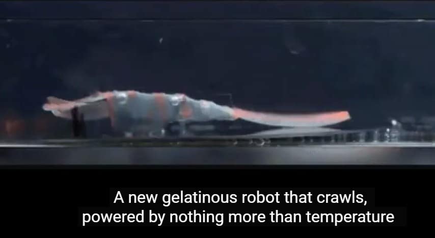 They want gelbots crawling through human bodies