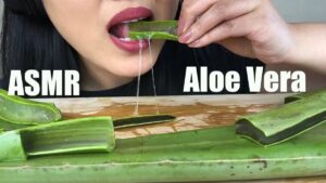 Can you eat Aloe Vera leaves, Has Aloe Vera Health Benefits for the Brain