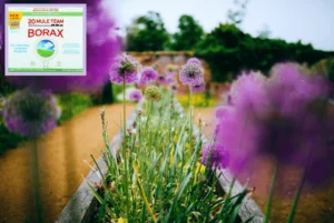 Borax (Boron), natural fertilizer for your plants and garden