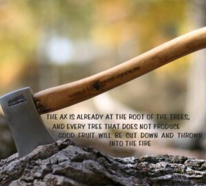 Laying the ax to the Root (cause of many problems)