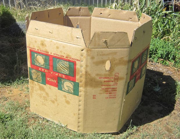 simple compost bin made from cardboard box
