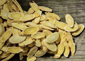 Astragalus root yellow root - one of the best herbs for the brain