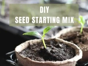 DIY seed starting mix made easy