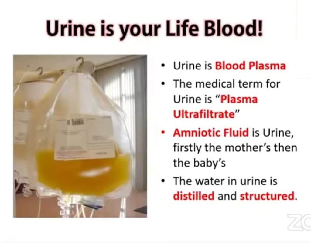 Urine is your Life Blood - Urine is Blood Plasma