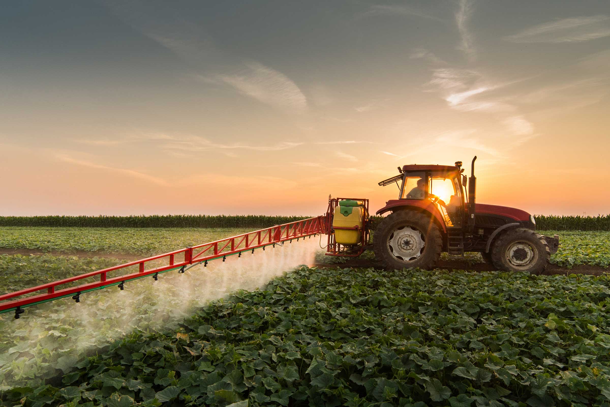 De gezondheid van mens en dier & de bodemgezondheid - Farming without chemicals