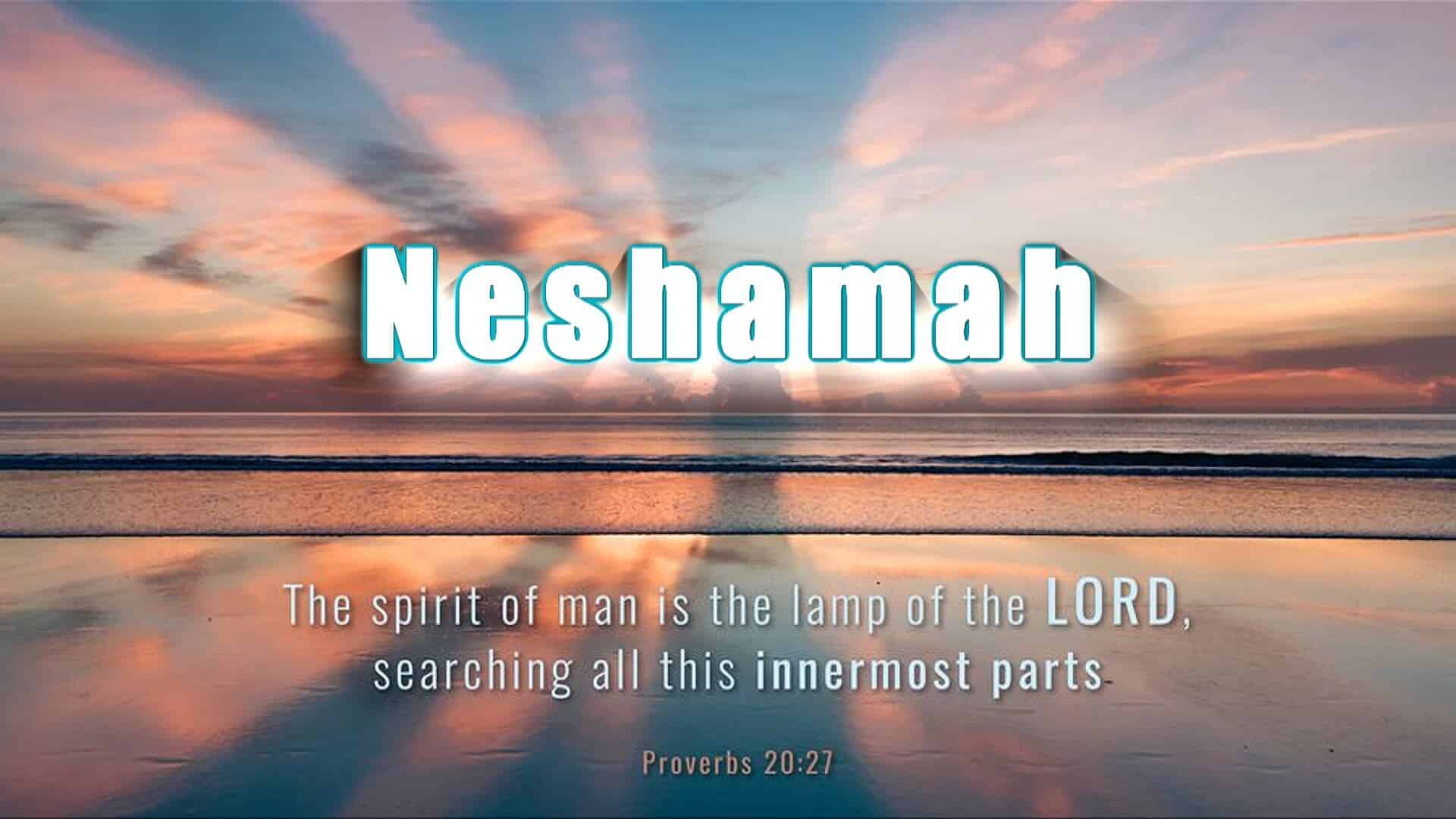 Proverbs 20, verse 27 Neshamah