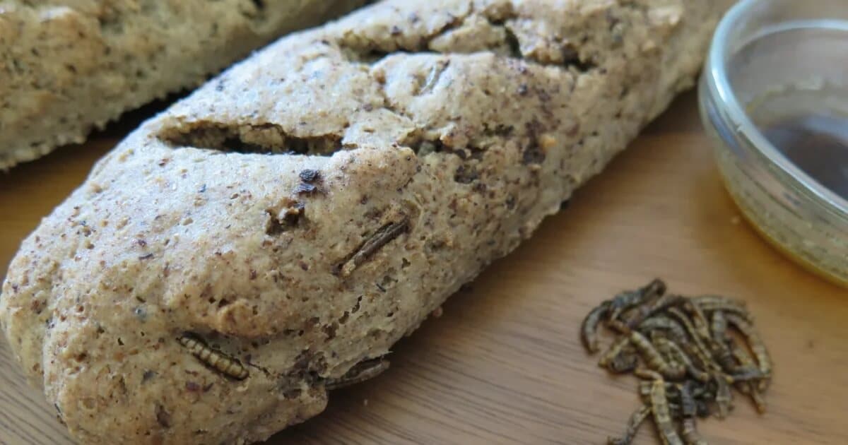 Hidden Mealworms in our food today - Meelwormen voedsel