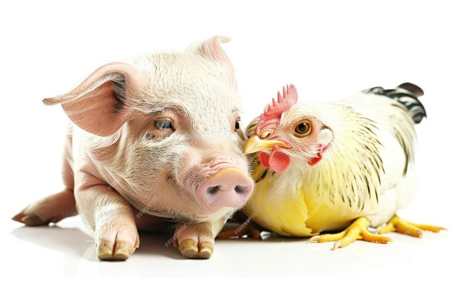 H1N1 en H1N5 griep - duister plan - H1N5 flu