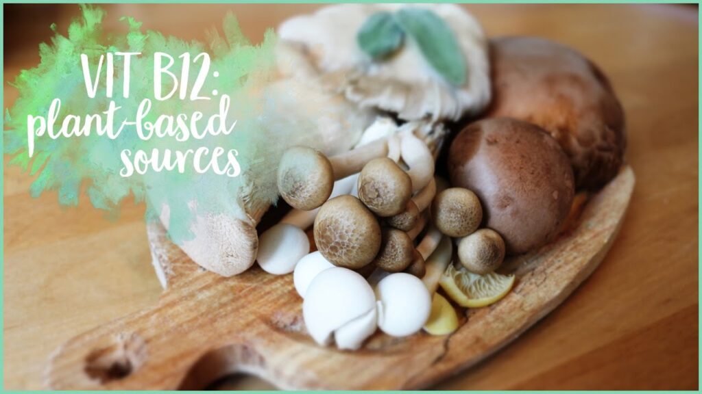 Mushrooms and Vitamin B12 - Paddenstoelen en Vitamine B12