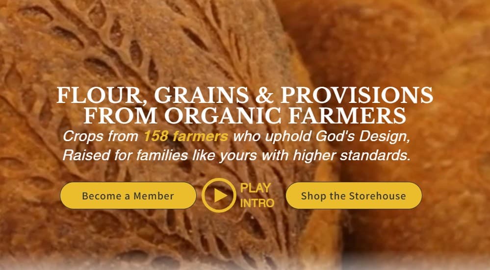 What if bread was good for you - Wat als brood eigenlijk goed voor je was